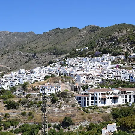 Olivo 15e Frigiliana