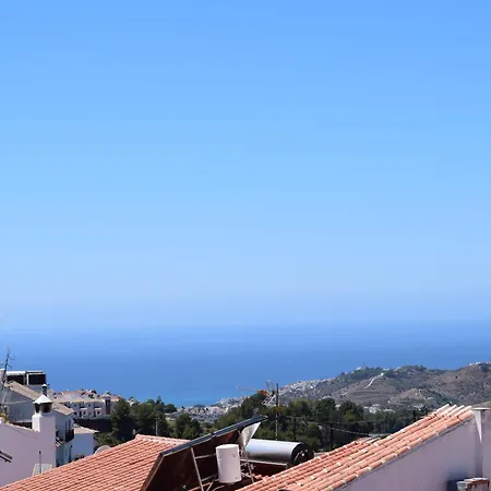 Olivo 15e Frigiliana