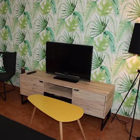 Apartment Olivo 15e *