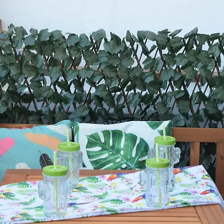 Olivo 15e Apartment